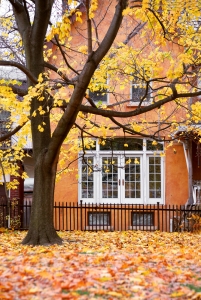UK Economy and Housing Market Hold Strong as Autumn Approaches