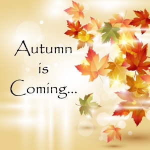 Switch of Seasons is a Great Time to Switch to a Remortgage Deal Switch of Seasons is a Great Time to Switch to a Remortgage Deal