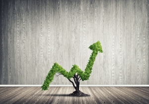 Remortgage Could Help Grow Investment Effort in a House Remortgage Could Help Grow Investment Effort in a House