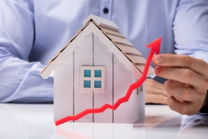 Housing Market Sees Growth of Property Values in November