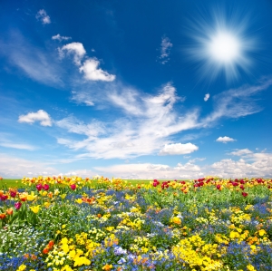 Spring Season is Full of Opportunities Including a Fixed Rate Remortgage Spring Season is Full of Opportunities Including a Fixed Rate Remortgage
