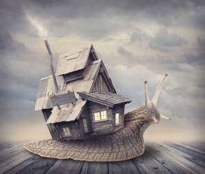 Housing Market Shows Signs of Slowing According to Property Professionals Housing Market Shows Signs of Slowing According to Property Professionals