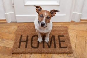 Homeowners Not Planning for Higher Interest Rates Expected Soon