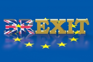 History is Made as the UK Votes in EU Referendum for a Brexit
