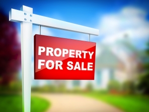 Rightmove Reports Drop in Asking Prices in UK Housing Market